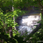 Smokey Hollow Falls - Waterdown, Ontario
