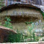 Zion Canyon, UT