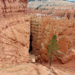 Bryce Canyon, UT