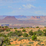 Canyonlands National Park - Moab, UT