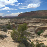 Sipapu Bridge - Natural Bridges National Monument, UT