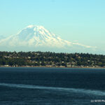 Mt Rainier